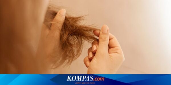 3 Tips Merawat Rambut Bercabang, Rutin Gunting Ujung Rambut