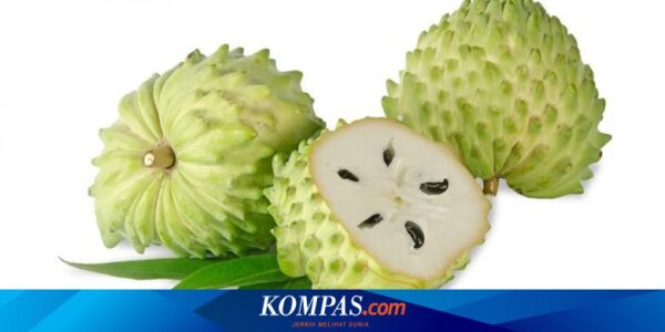 9 Manfaat Buah Sirsak, Termasuk Mencegah Kanker