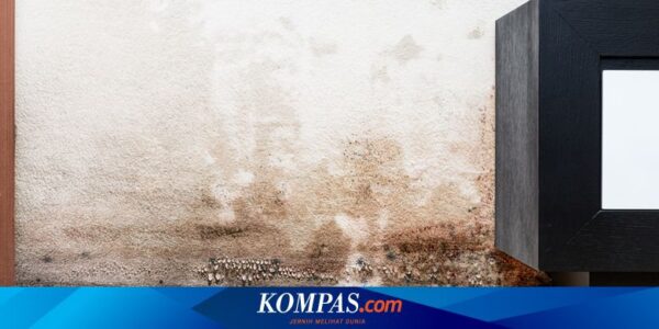 Ada Rembesan Air di Dinding Rumah? Begini Cara Cepat Menyingkirkannya