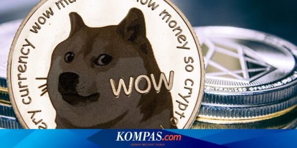 Anjing Shiba Inu Jepang Maskot Kripto Dogecoin Meninggal