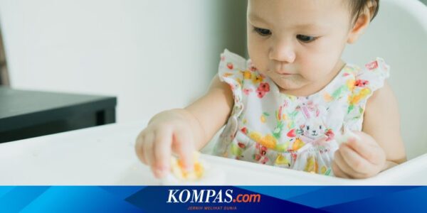 Anjuran Dokter Mengenai Makanan Sehat untuk Anak 1 Tahun