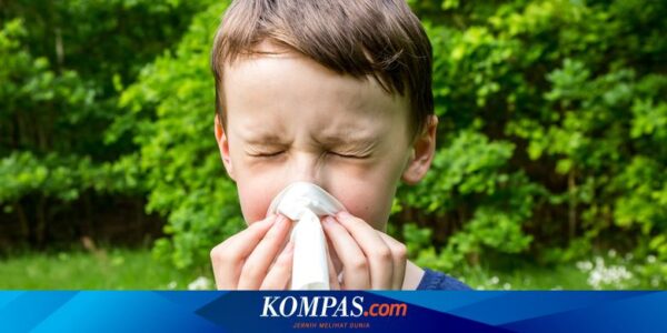 Apa Gejala Rhinitis Alergi pada Anak? Berikut Penjelasan Dokter…