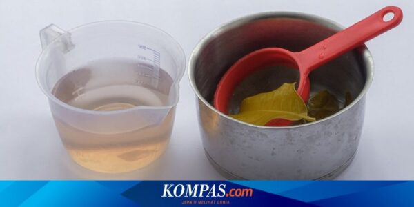 Apakah Ada Efek Samping Minum Rebusan Daun Salam? Ini Penjelasannya…