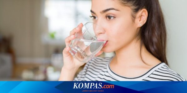 Berapa Banyak Air yang Harus Kita Minum Setiap Hari?