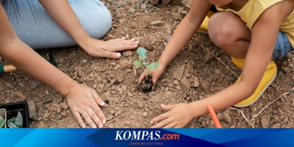 Bermain Tanah di Alam Tingkatkan Sistem Imun