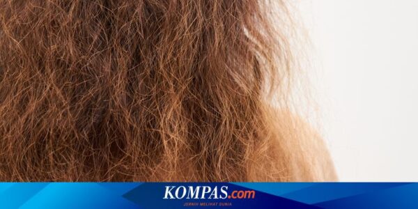 Bisakah Batang Rambut yang Rusak Diperbaiki? Ini Jawaban Dokter
