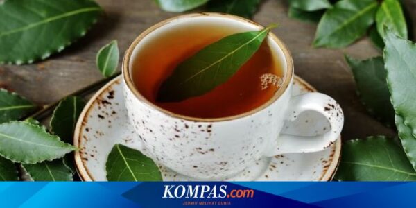 Bolehkah Minum Air Rebusan Daun Salam di Pagi Hari? Ini Penjelasannya