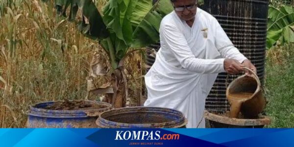 Di India, Kotoran Sapi Bisa Diubah Menjadi Energi Alternatif