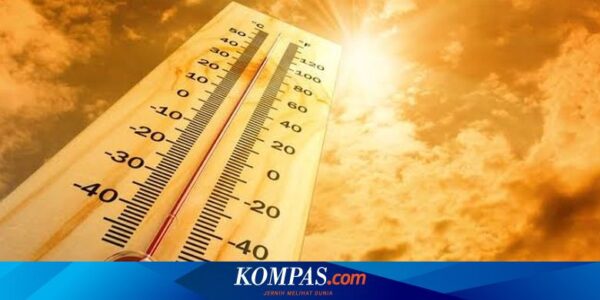 India Dilanda Gelombang Panas, Suhu Dekati 50 Derajat Celsius