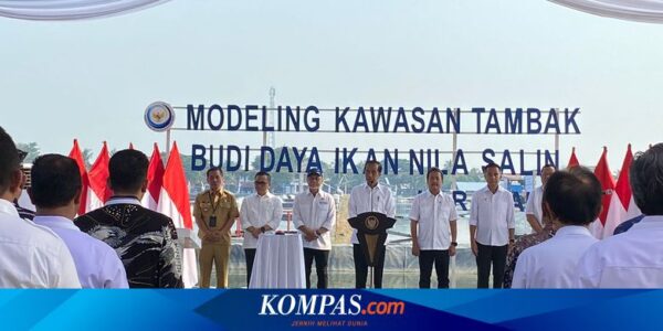Jokowi Resmikan Modeling Budi Daya Ikan Nila Salin di Karawang