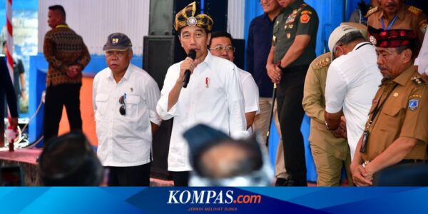 Jokowi Sebut Impor Beras Tak Sampai 5 Persen dari Kebutuhan