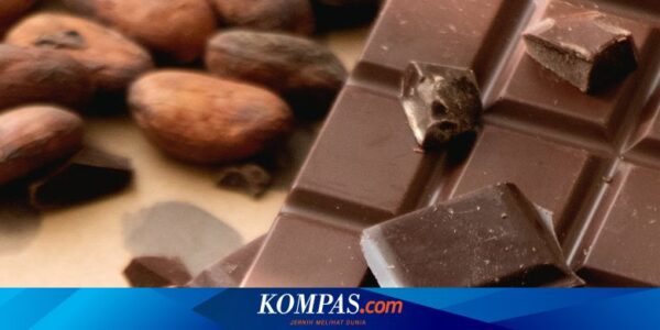 Kandungan Cokelat Hitam dan Manfaatnya untuk Kesehatan