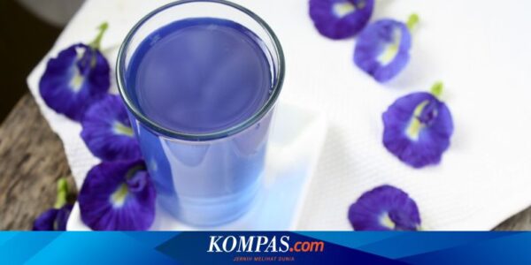 Kapan Sebaiknya Minum Air Bunga Telang? Berikut Penjelasannya…