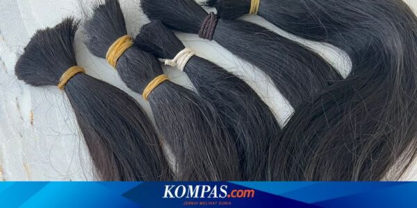 Ke Mana Hasil Donasi Rambut Biasanya Disalurkan?