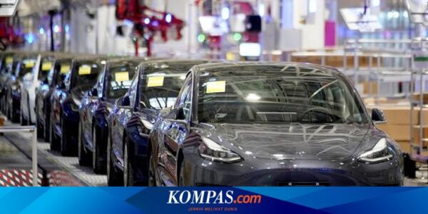 Kehadiran BYD Tidak Pengaruhi Penjualan Tesla di Indonesia