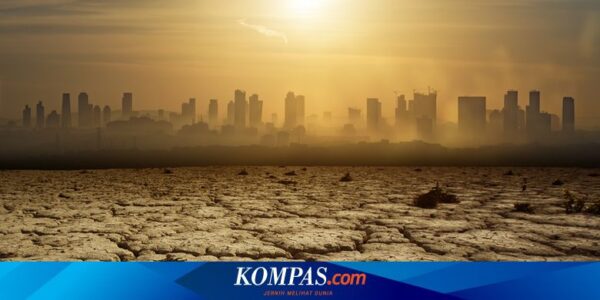 Panas Ekstrem 47,4 Derajat Celcius, India Liburkan Sekolah Lebih Awal