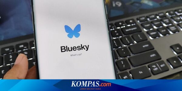 Pengguna Bluesky Kini Bisa Kirim DM, Indonesia Sudah Kebagian