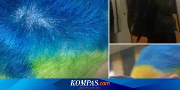 Pria Rusia Dituntut karena Mewarnai Rambutnya Kuning, Biru, dan Hijau