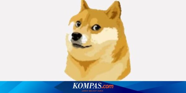 Profil Kabosu, Anjing Shiba Inu yang Fotonya Jadi Meme “Doge”