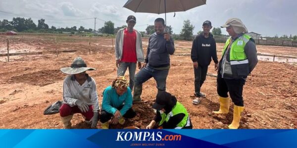 Rumah Dekat Gerbang Tol di Palembang Dijual Mulai Rp 500 Jutaan