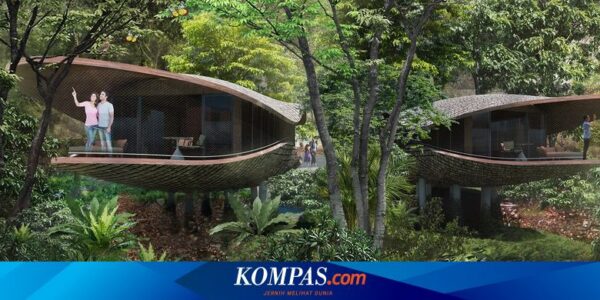 Rumah Pohon Berkonsep Resor