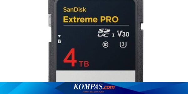 SanDisk Perkenalkan Kartu SD 4 TB, Diklaim yang Pertama di Dunia