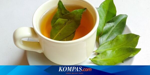 Siapa Saja yang Tidak Boleh Minum Air Rebusan Daun Salam?