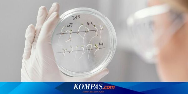 Skin Genomic Research, Terobosan Baru Perawatan Kulit di Indonesia