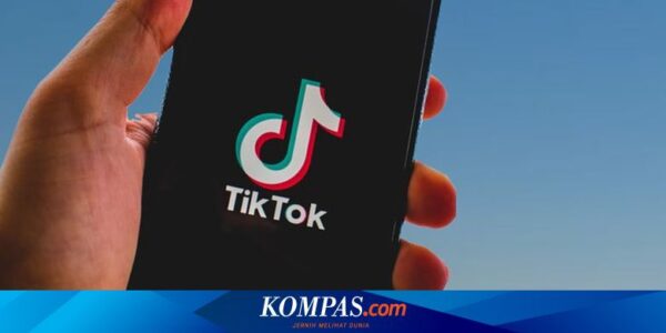 TikTok Notes, Inikah Aplikasi “Pembunuh” Instagram?