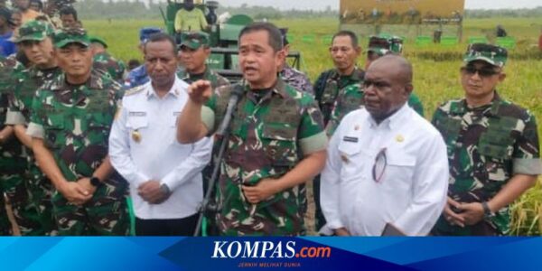 TNI AD Mulai Tanam Padi di Merauke, KSAD: Selama Ini Hasilnya Kurang Baik