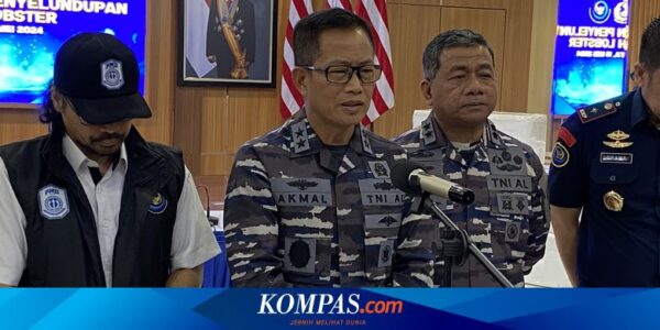 TNI AL Petakan Rute dan Daerah Rawan Penyelundupan Benih Lobster