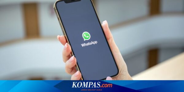 WhatsApp Siapkan Fitur Favorit, Bisa Atur Kontak dan Grup Penting