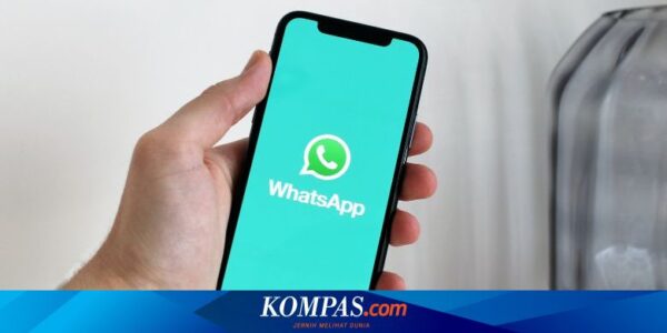WhatsApp Siapkan Fitur Telepon Tanpa Simpan Nomor