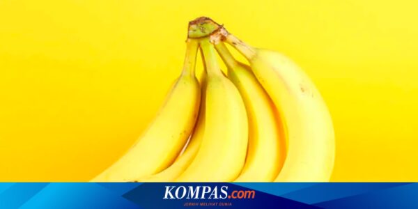 10 Manfaat Pisang untuk Ibu Hamil yang Sayang Dilewatkan