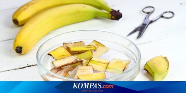 Apa Manfaat Kulit Pisang untuk Kesehatan? Berikut 7 Daftarnya