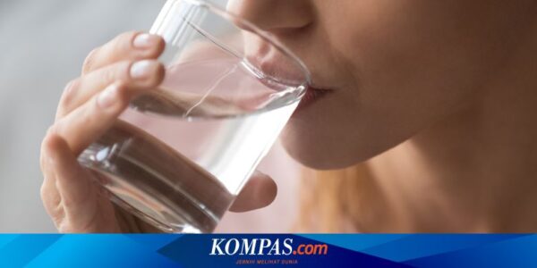 Apa yang Terjadi jika Tidak Minum Air Putih Seharian? Ini Ulasannya…