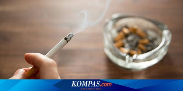 Apakah Merokok Mengakibatkan Penuaan Dini pada Kulit? Ini Ulasannya…