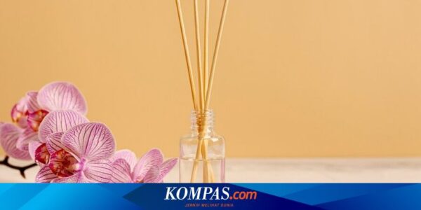 Aroma Reed Diffuser Cepat Hilang? Bisa Jadi karena Bahan Dasarnya