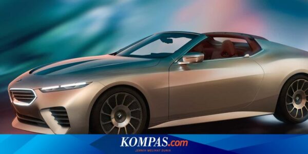 BMW Tampilkan Skytop Konsep di Concours d’Elegance