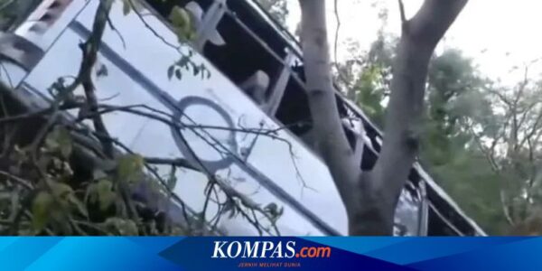 Bus Rombongan Peziarah di India Diserang, 10 Orang Tewas