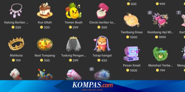 Daftar Gift TikTok Mulai dari Rp 75.000 hingga Rp 250.000