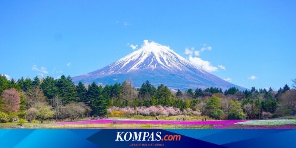 Diprotes Tetangga, Apartemen di Jepang Dirobohkan karena Halangi Pemandangan Gunung Fuji