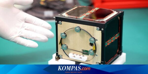 Jepang Bikin Satelit Kayu Pertama di Dunia, Akan Terbakar Habis Saat Masuk Lagi ke Bumi