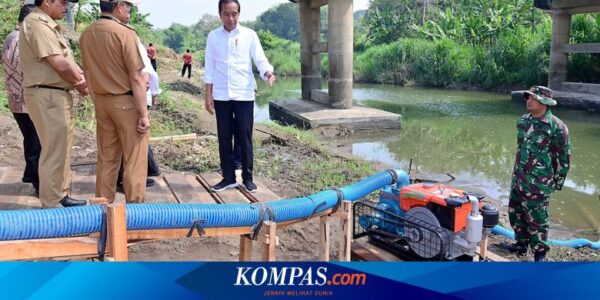 Jokowi Harap Pompanisasi Tingkatkan Produksi Padi hingga 1,3 Juta Ton di Jateng