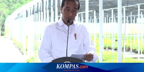 Jokowi Resmikan Persemaian Mentawir di Kalimantan Timur