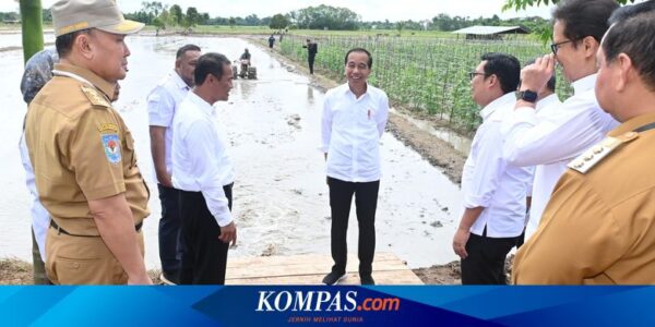 Jokowi Ungkap Kementan Akan Penuhi Kebutuhan Pompa untuk 7.600 Hektare Sawah di Kotawaringin Timur