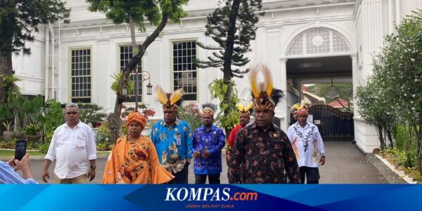 Temui Jokowi, Majelis Rakyat Papua Minta Pemekaran Kabupaten Mimika