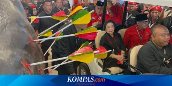 Tiba di Lokasi Rakernas PDI-P, Megawati Saksikan Patung Banteng Berdarah Tertusuk Panah