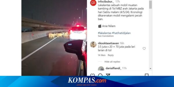 Video Kambing Berlarian di Tol Layang MBZ, Begini Kronologinya