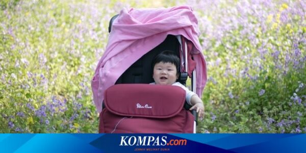 5 Tips Memilih Stroller Bayi, Perhatikan Suspensinya